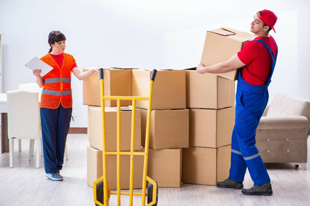 Safety-Focused Manual Handling Strategies Course Online in Clonakilty - Manual Handling Training Article