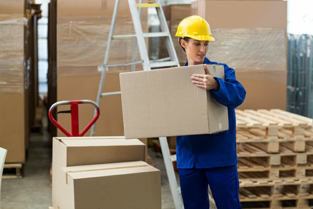 Unlocking Workplace Safety: Free Online Health and Safety Training in Ireland - Manual Handling Training Article