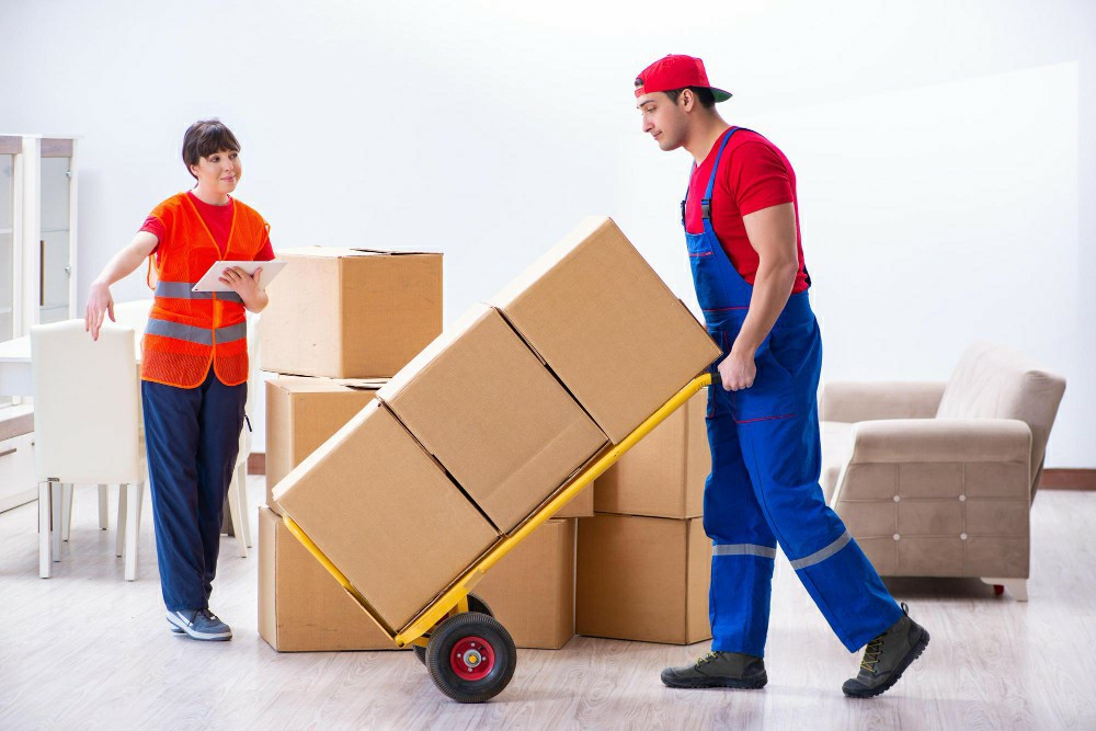 Empowering Workplaces: The Importance of a Manual Handling Course in Dublin - Manual Handling Training Article