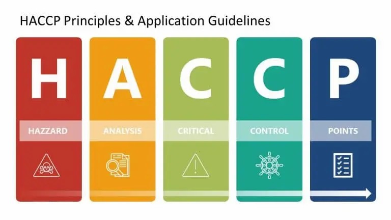 HACCP Certification: Your Essential Guide to Food Safety Compliance in Ireland - Manual Handling Training Article