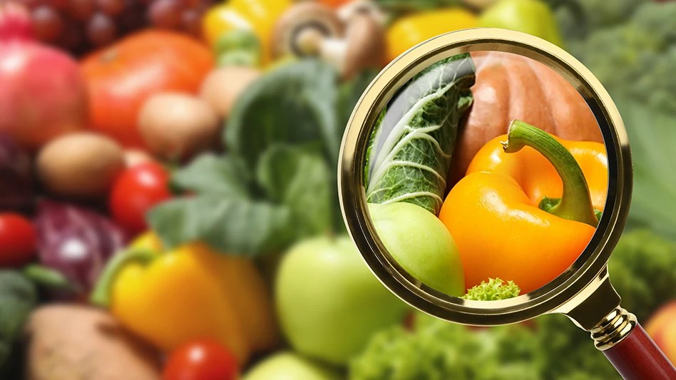 Elevate Your Food Business: The Critical Role of HACCP Training in Ireland - Manual Handling Training Article